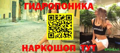 прущие грибы Кунгур
